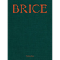 Lisa Brice: Lives and Works - Hardcover