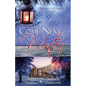 Come Next Winter: An Inspirational Romance - Paperback