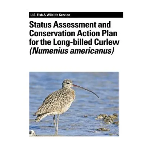 Status Assessment and Conservation Action Plan for the Long-billed Curlew (Numenius americanus) - Paperback