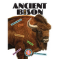 Ancient Bison - Paperback