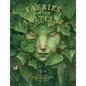 Faeries of the Faultlines: Expanded, Edited Edition - Hardcover