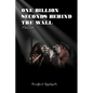 One Billion Seconds Behind The Wall: Pariah - Paperback
