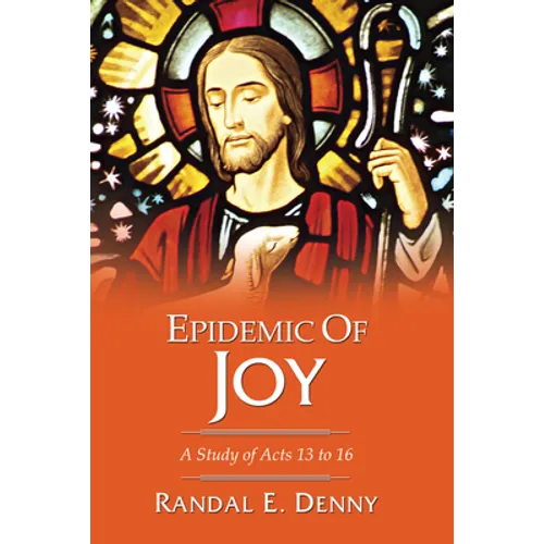 Epidemic of Joy - Paperback
