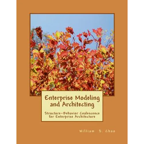 Enterprise Modeling and Architecting: Structure-Behavior Coalescence for Enterprise Architecture - Paperback