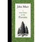 A Wind-Storm in the Forests - Hardcover