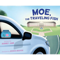 Moe, The Traveling Fish - Hardcover