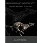 Imaginings and Amusements: Carving Doorways to Dreams - Hardcover