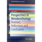 Perspectives in Meiobenthology: Reviews, Reflections and Conclusions - Paperback