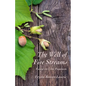 The Well of Five Streams - Paperback