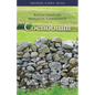 Coenobium: Reflections on Monastic Community Volume 64 - Paperback