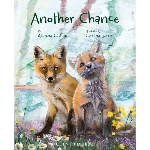 Another Chance - Hardcover