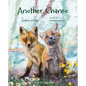 Another Chance - Hardcover