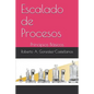 Escalado de Procesos: Principios Básicos - Paperback