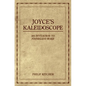 Joyce's Kaleidoscope: An Invitation to Finnegans Wake - Paperback