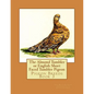 The Almond Tumbler or English Short Faced Tumbler Pigeon: Pigeon Breeds Book 3 - Paperback