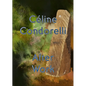 After Work: Céline Condorelli - Paperback
