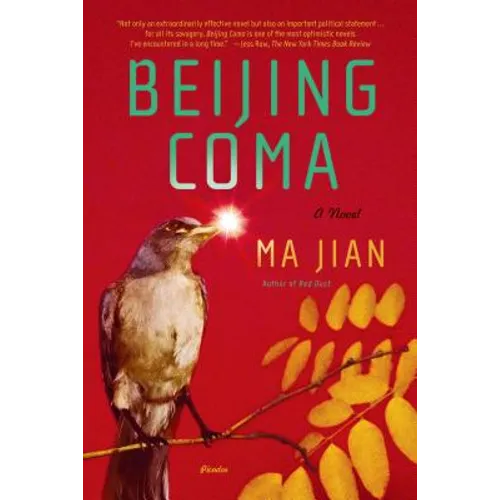 Beijing Coma - Paperback