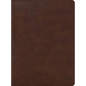 CSB Apologetics Study Bible for Students, Brown Leathertouch - Imitation Leather