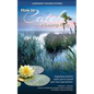Legendary Teacher Stories: How to catch a swamp frog - Paperback