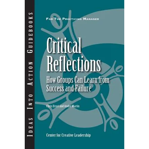 Critical Reflections: How Groups Can Learn from Success and Failure - Paperback
