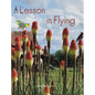 A Lesson in Flying - Hardcover