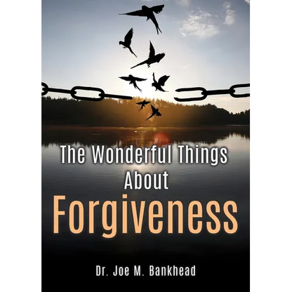 The Wonderful Things About Forgiveness - Paperback