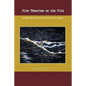 Five Theories on the Fitz: And What They Reveal about the Politics of Disaster - Paperback