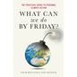 What Can We Do by Friday?: The Practical Guide to Personal Climate Action - Hardcover