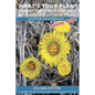 What's your plan?: Manage side effects of chemo & other cancer treatments - Paperback