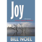 Joy: A Folly Beach Christmas Mystery - Paperback