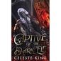 Captive of the Dark Elf - Paperback