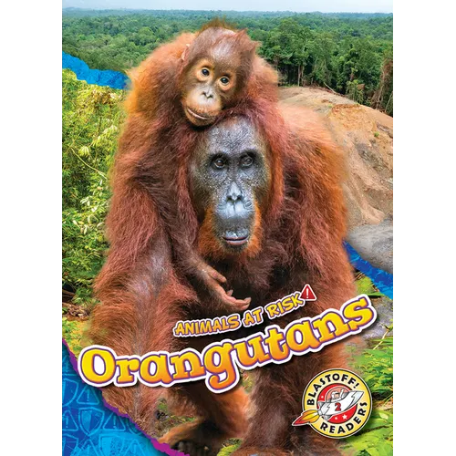 Orangutans - Library Binding