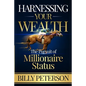 Harnessing Your Wealth: The Pursuit of Millionaire Status - Paperback
