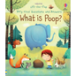 Very First Questions and Answers What Is Poop? - Board Book