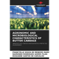 Agronomic and Microbiological Characteristics of Butter Cabbage - Paperback