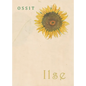 Ilse - Paperback