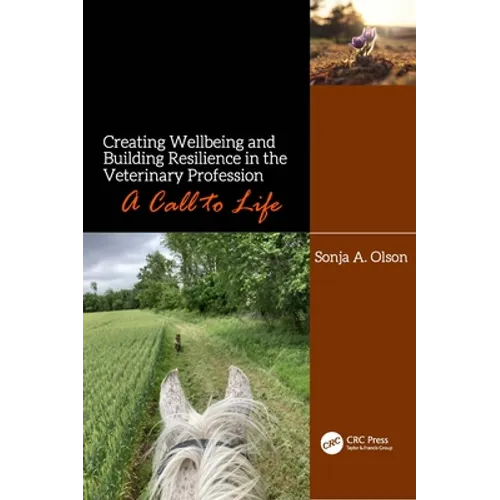 Creating Wellbeing and Building Resilience in the Veterinary Profession: A Call to Life - Paperback