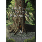 Child of the Dragon Prophecy - Hardcover