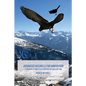 Advanced Business for Innovation: Stimulate Competitor Innovation and Copying - Paperback