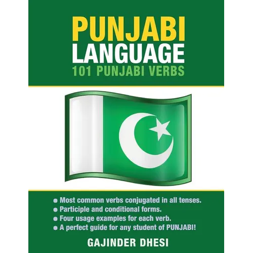 Punjabi Language: 101 Punjabi Verbs - Paperback