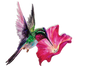 Hummingbird Screen Door Savers -
