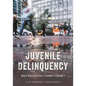 Juvenile Delinquency: Why Do Youths Commit Crime? - Paperback