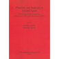 Pharmacy and Medicine in Ancient Egypt: Proceedings of the conferences held in Cairo (2007) and Manchester (2008) - Paperback
