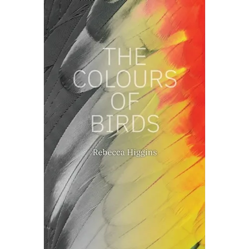 The Colours of Birds - Paperback