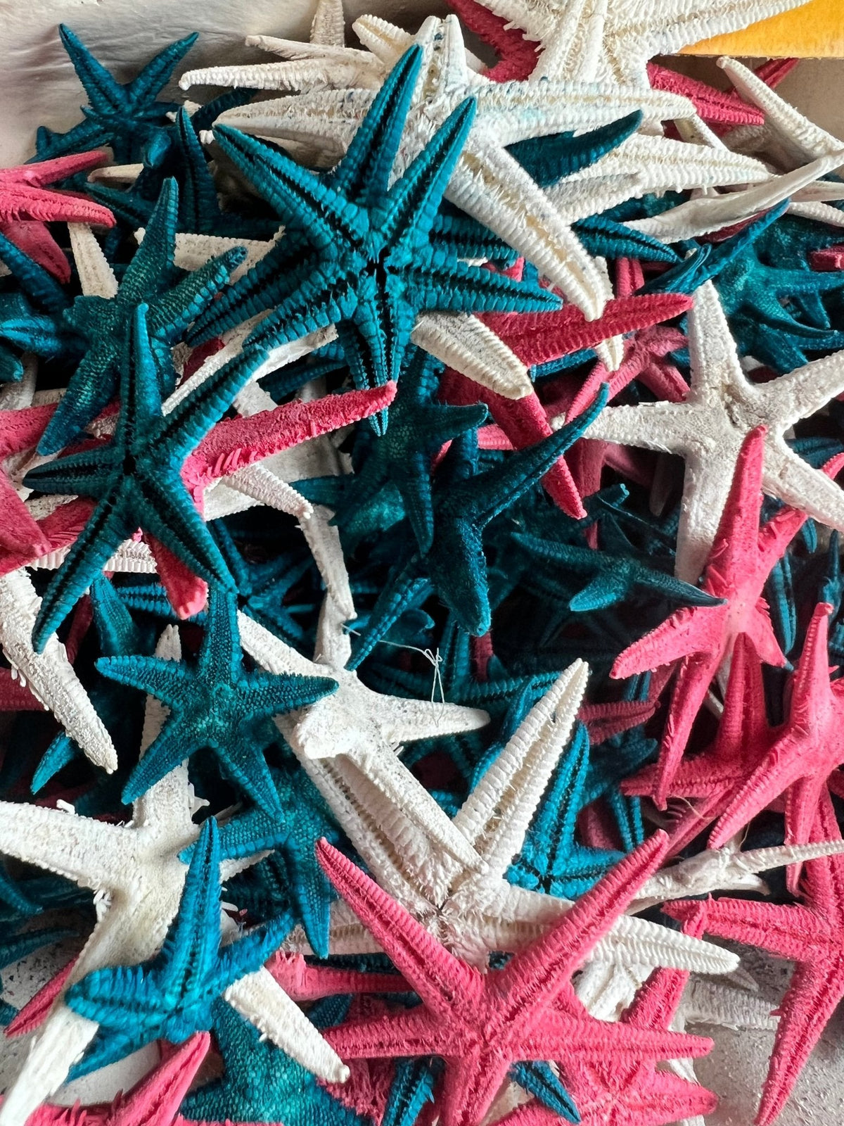Red, White, & Blue Flat Starfish