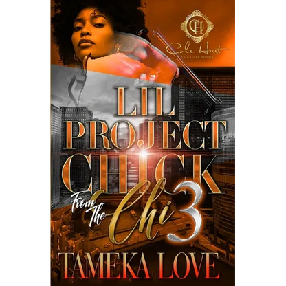Lil Project Chick From The Chi 3: The Finale - Paperback