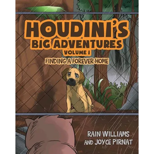 Houdini's Big Adventures: Finding a Forever Home - Paperback