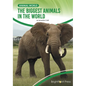 The Biggest Animals in the World - Hardcover