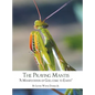 The Praying Mantis: "A Manifestation of God, Come to Earth" - Hardcover