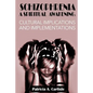 Schizophrenia A Spiritual Awakening: Cultual Implications and Implementations - Paperback